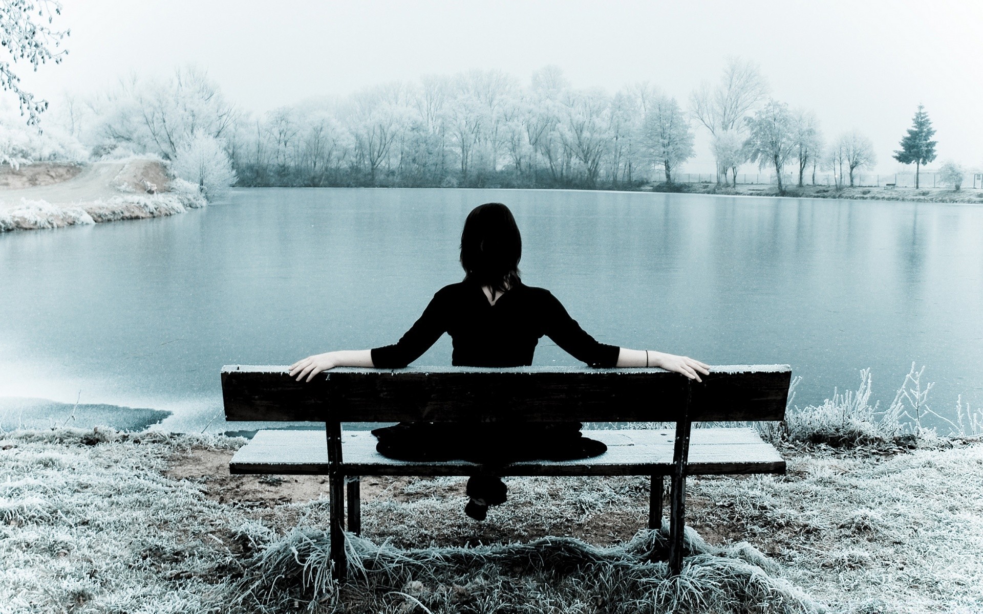 winter water lake adult one river monochrome tree recreation landscape bench snow girl park woman portrait