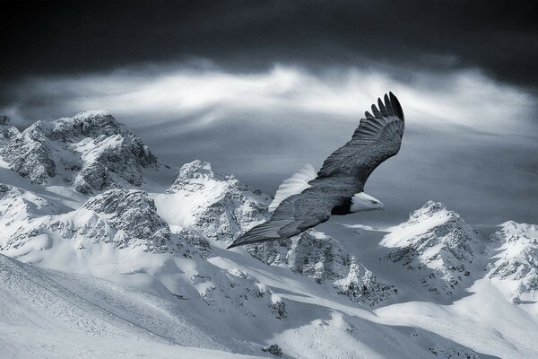 Snowy ice mountains in the cold winter