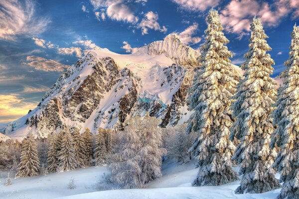 Schneeberg auf dem Hintergrund des Winterwaldes