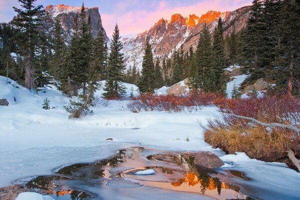 The lake melts in the forest near the mountains