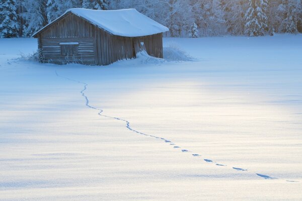 The trail of footprints in the snow to the house