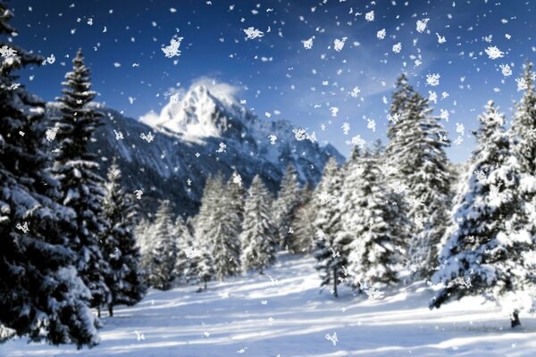 Neve nella foresta di abeti in inverno