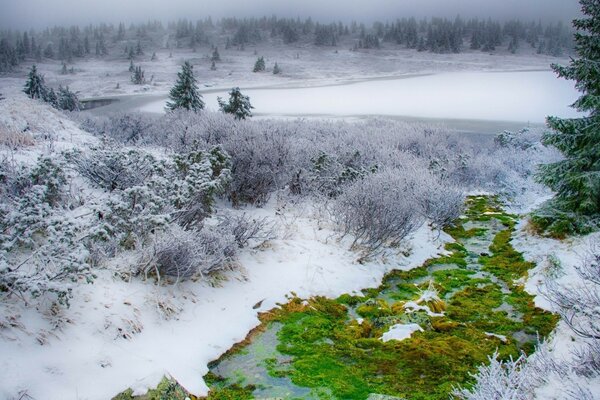 Naturlandschaft, Winter im Schnee