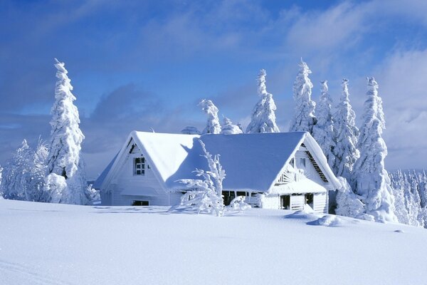 Neve fredda, ghiaccio congelato