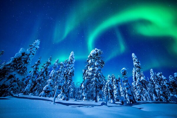 Northern Lights at Christmas