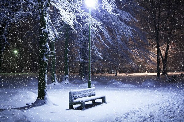 A lantern illuminates a park bench