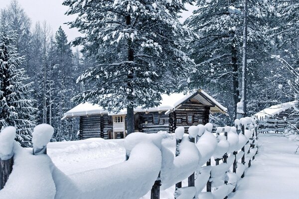 Houses in the winter forest