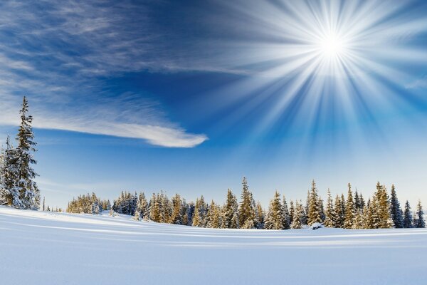 Sol de invierno brillante en el cielo despejado