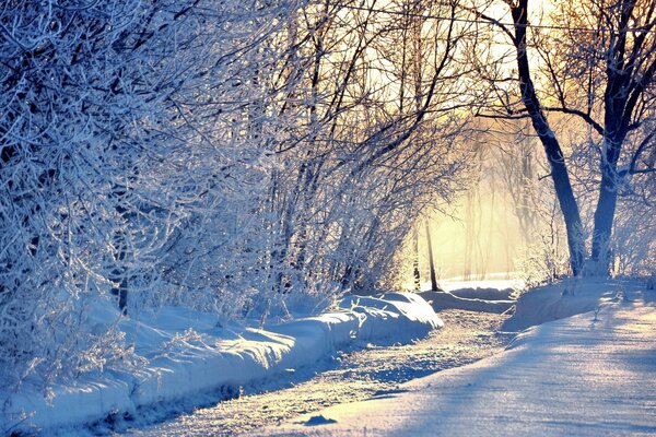 Inverno, giornata fredda, tutto nella neve