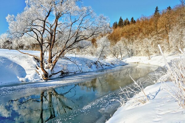 Winterlandschaft des frostigen Waldes