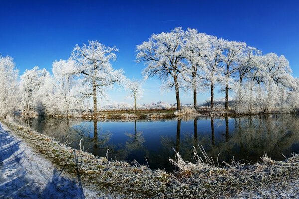 Lago no congelado en la naturaleza invernal