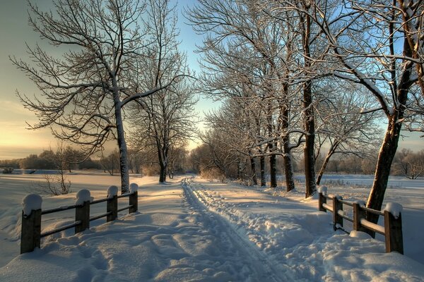 A track on a snowy road over a bridge