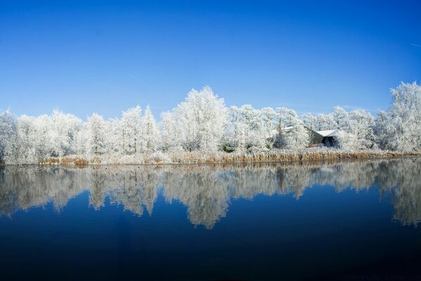 Panorama-Foto des Winters