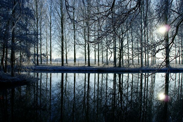 Reflection of the sun through the trees in the pond