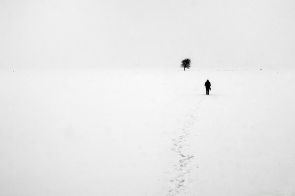 Neve bianca in inverno all aperto