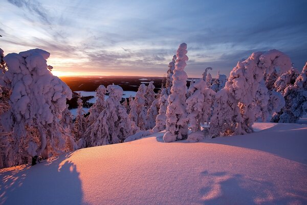 Sonnenuntergang mit schneebedeckten Bäumen am Hang