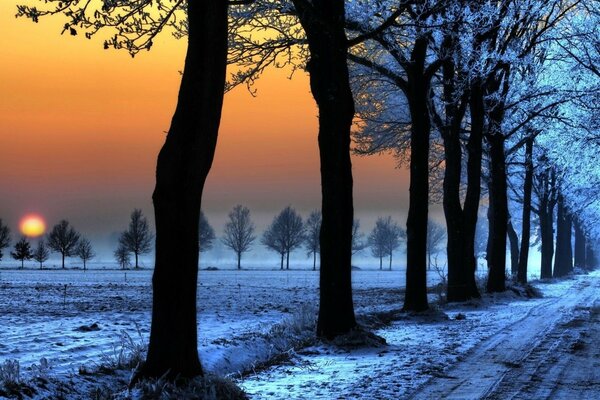 Winter landscape with orange sky