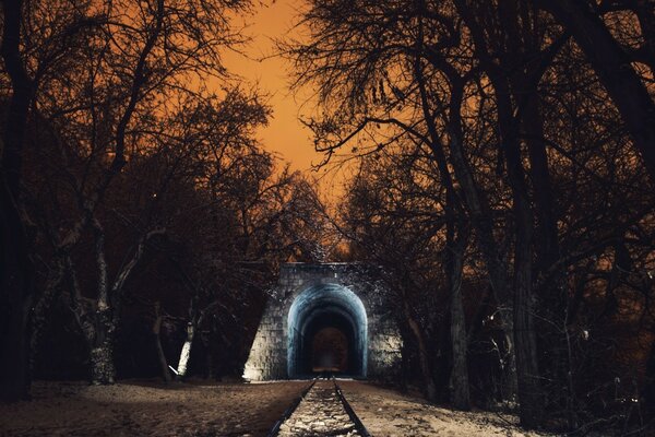 Зимние деревья и свет в тоннеле
