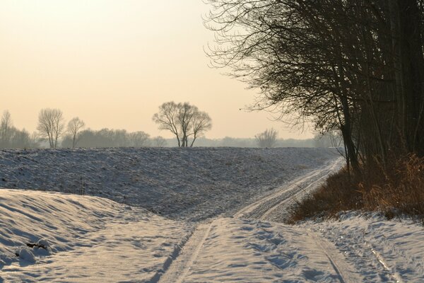 Verschneite Straße entlang des Waldes