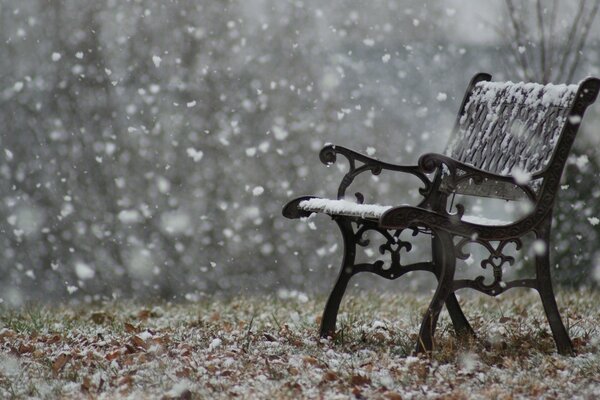 Banco solitario bajo copos de nieve