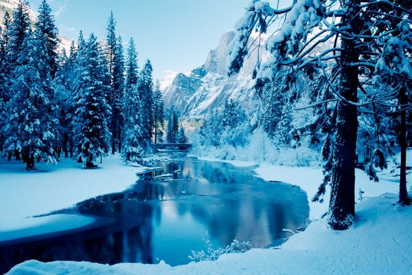 Lago de invierno en el bosque melancólico