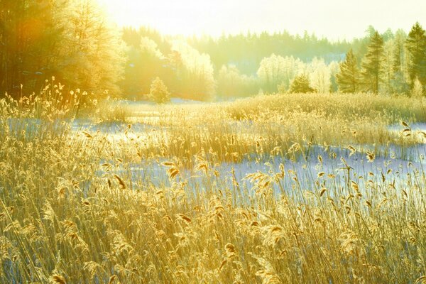 Winter fields in the countryside