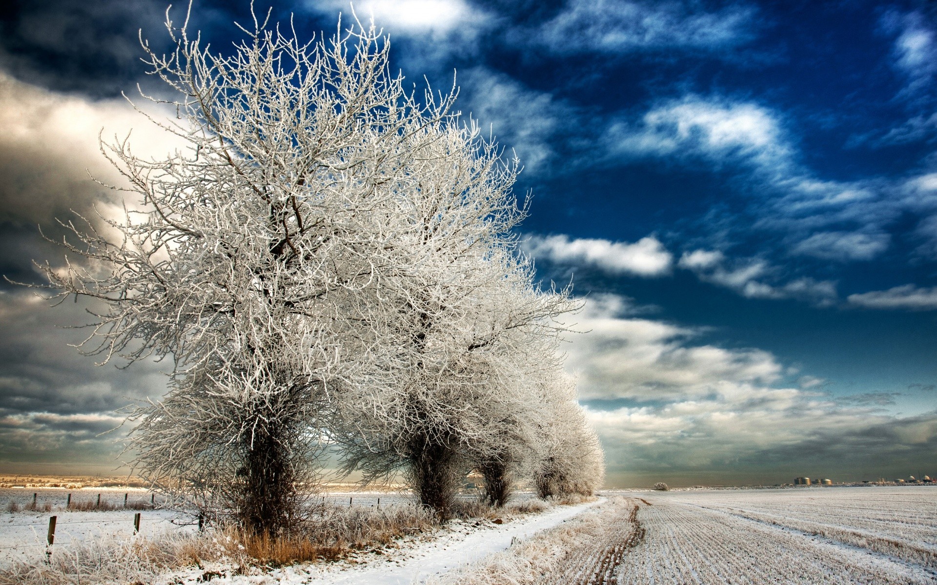 winter snow frost nature sky tree landscape frozen cold season outdoors weather fair weather ice wood rural sun bright countryside