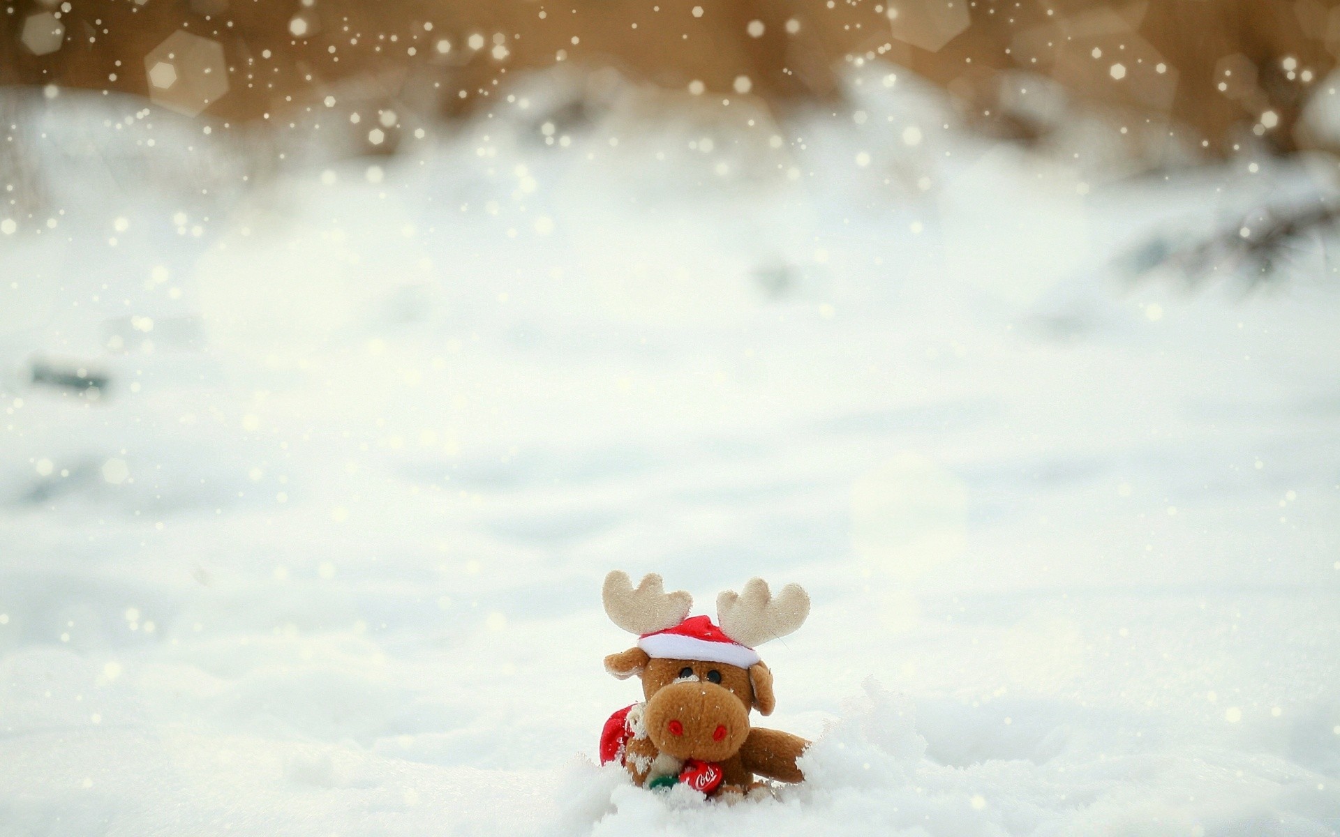 invierno nieve navidad copo de nieve cielo frío vacaciones desenfoque año nuevo paisaje