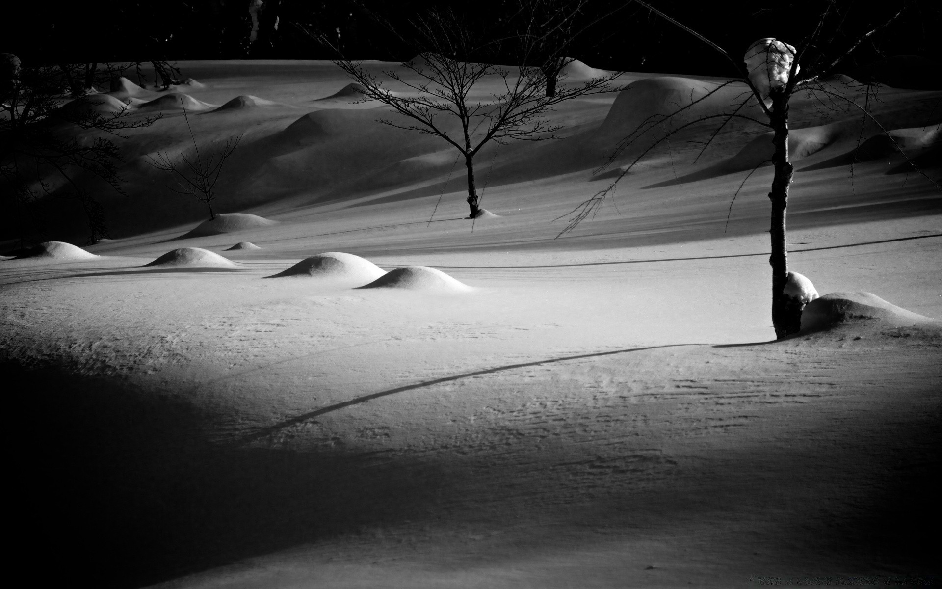 winter monochrom schatten landschaft schwarz / weiß licht straße strand sonnenuntergang dämmerung schnee