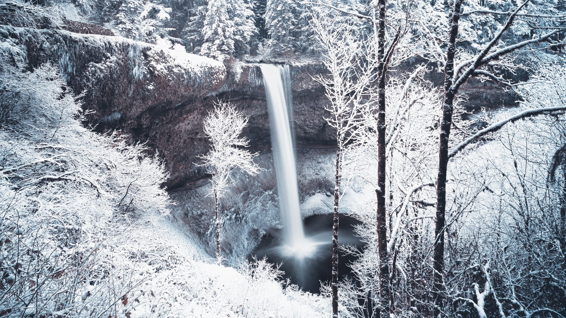 hiver neige froid gel bois glace congelé bois paysage nature saison météo à l extérieur eau scénique glacial neige-blanc rivière