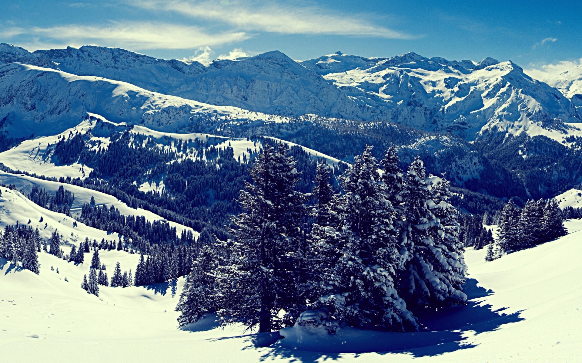 冬季 雪 山 风景 山峰 高山 度假村 雪 木 冷 景观 山 谷 常绿 冰 全景 斜坡 白雪复盖 滑雪胜地