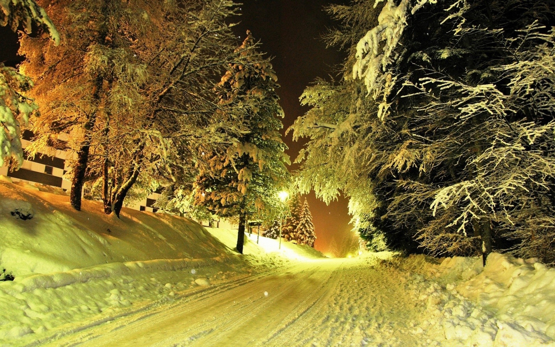 hiver nature arbre voyage bois lumière à l extérieur paysage feuille route automne