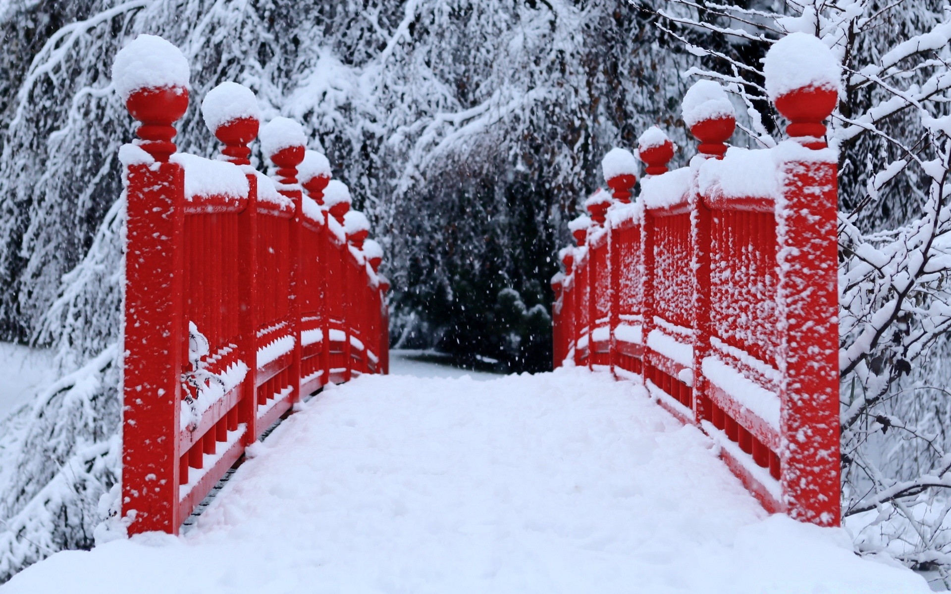 hiver neige noël flocon de neige saison froid gel congelé arbre bois glace sapin tempête de neige luge bonhomme de neige neige-blanc météo luge congère