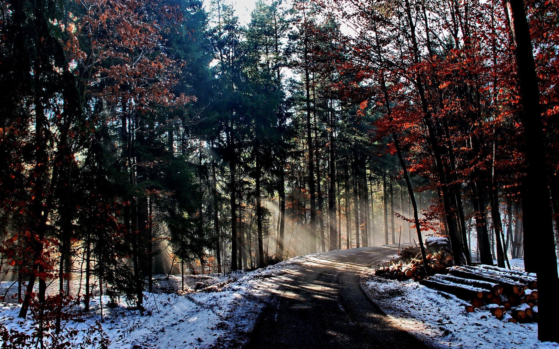 winter landschaft holz holz natur saison schnee straße im freien umwelt wetter gutes wetter landschaftlich herbst kälte blatt zweig park guide