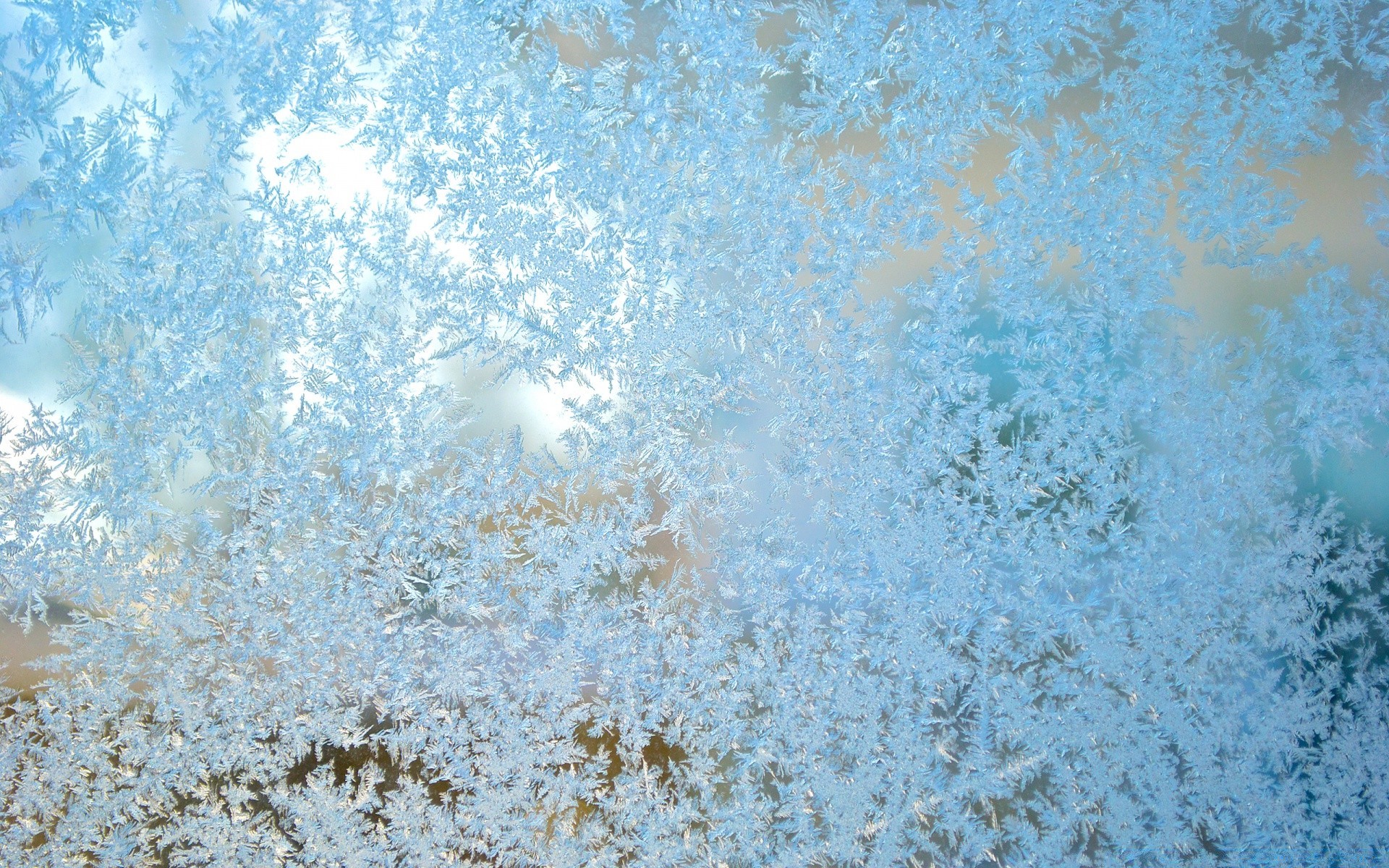 冬天 桌面 抽象 霜冻 背景 壁纸 模板 复古 纹理 设计 光 纸 颜色 脏 霜冻 雪 复古 冷 明亮