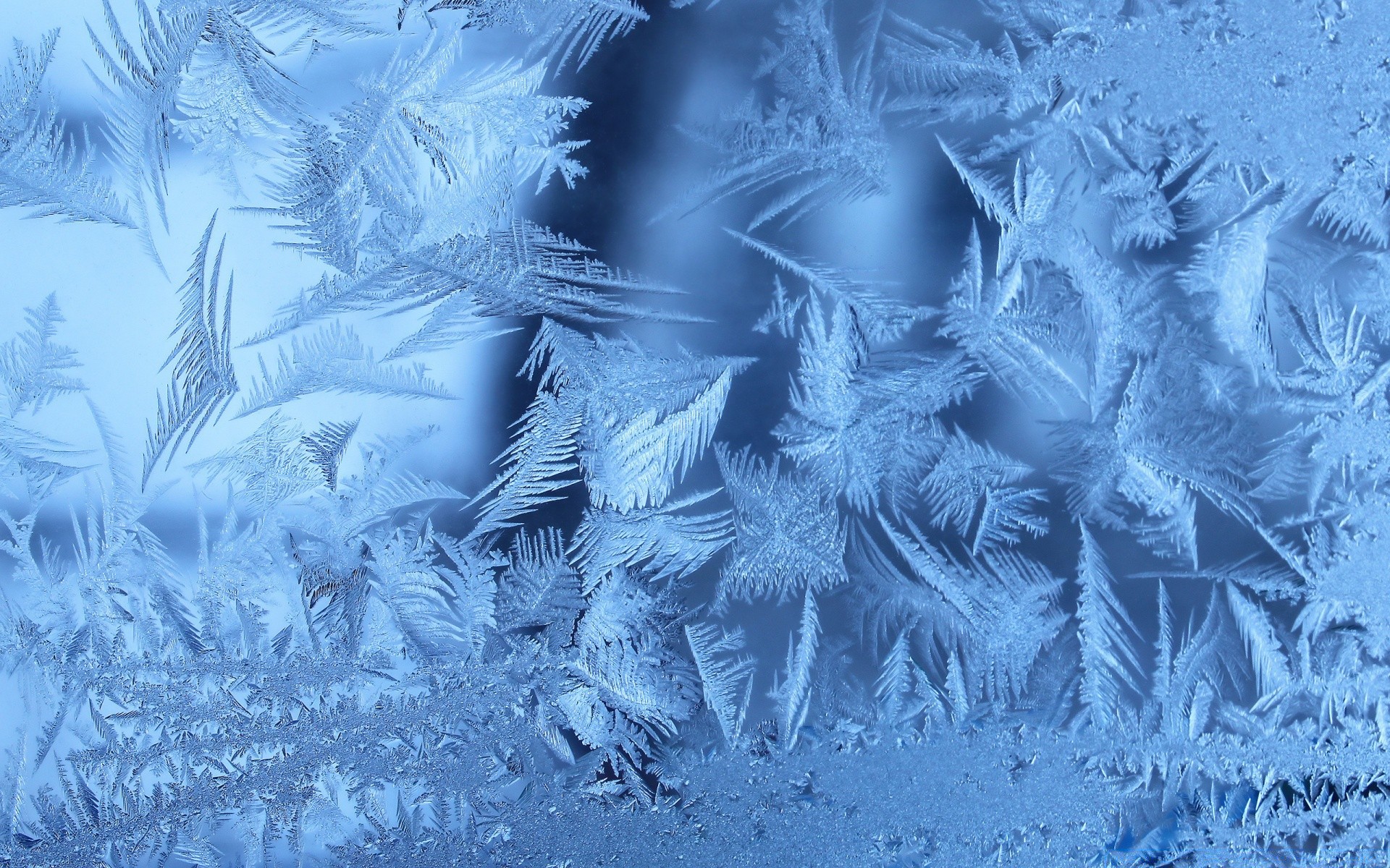 冬天 霜冻 桌面 抽象 艺术 雪 冷 设计 壁纸 模板 纹理 纸 艺术 霜冻 圣诞节 自然 光 背景 图形