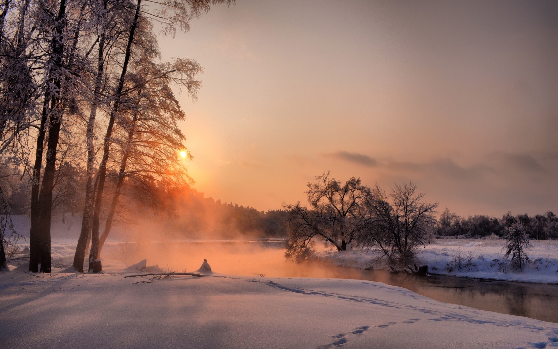 hiver neige aube bois brouillard coucher de soleil paysage froid brouillard nature glace météo gel congelé soir bois beau temps soleil en plein air