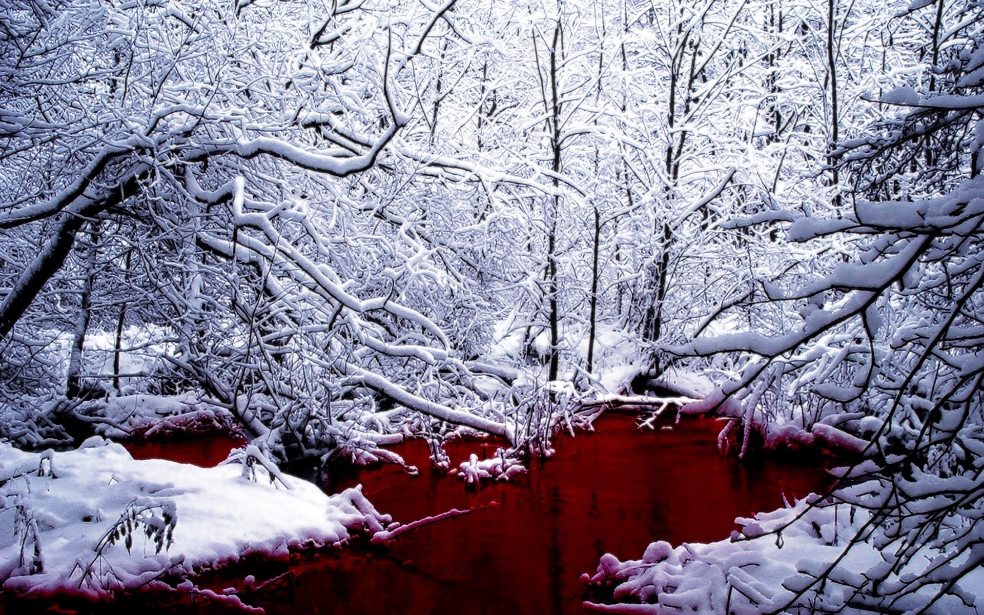 Cool seasons. Красное озеро в Канаде озеро крови. Мрачный зимний пейзаж.