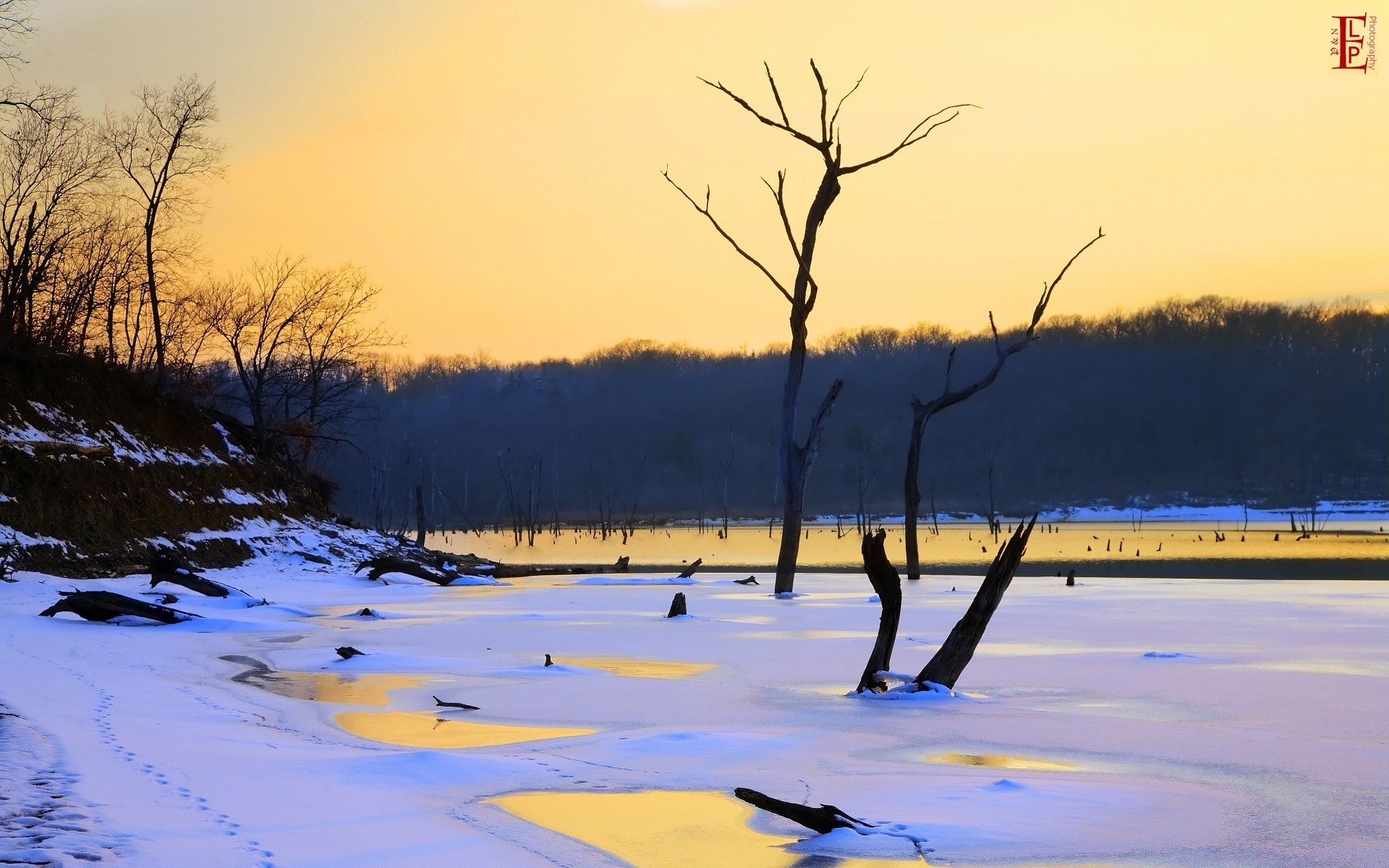 winter landscape tree water snow lake nature outdoors dawn reflection season sunset frozen cold sky weather ice scenic daylight