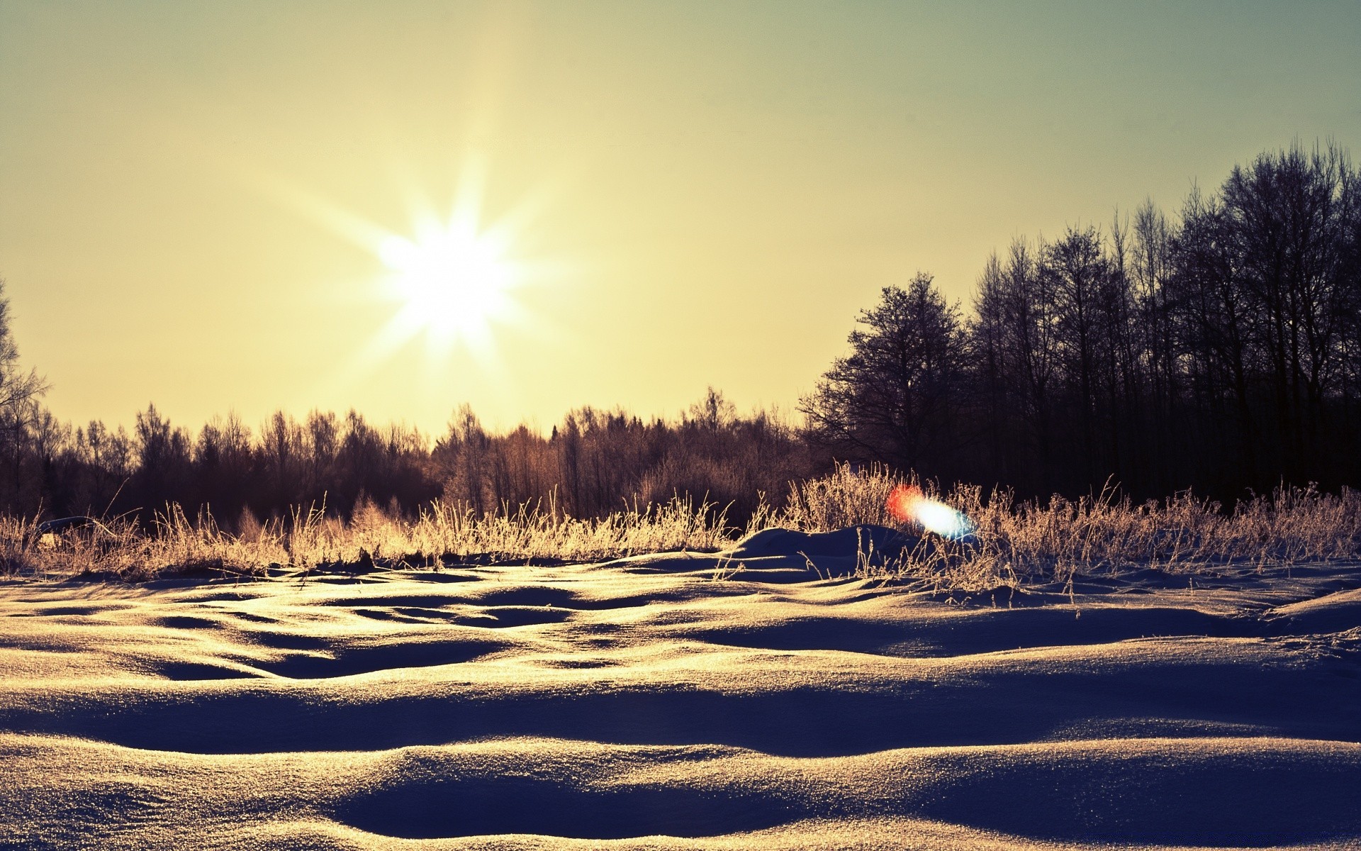 inverno paesaggio alba albero neve tramonto natura tempo sole bel tempo luce stagione nebbia freddo all aperto gelo sera congelato legno