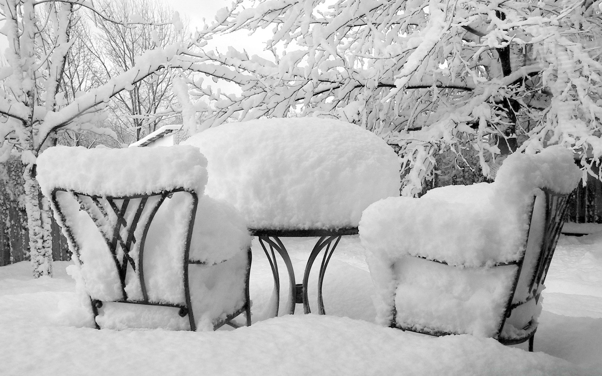 冬天 雪 霜 寒冷 冰冻 暴风雪 冰 季节 木材 木材 天气 雪白 户外 霜冻 大自然 圣诞节 家具