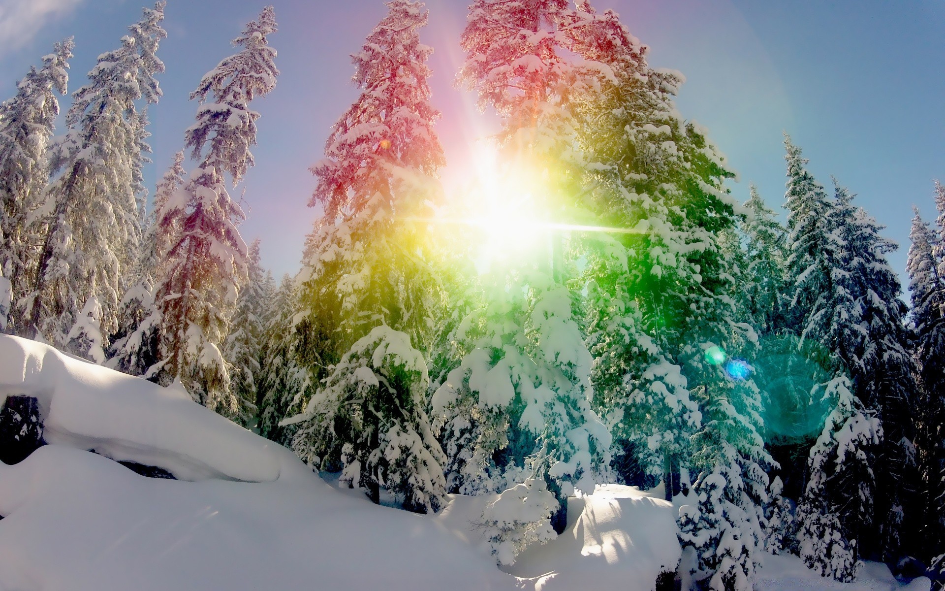 winter schnee kälte natur landschaft frost jahreszeit holz gutes wetter im freien holz himmel gefroren berge eis landschaftlich hell wetter reisen