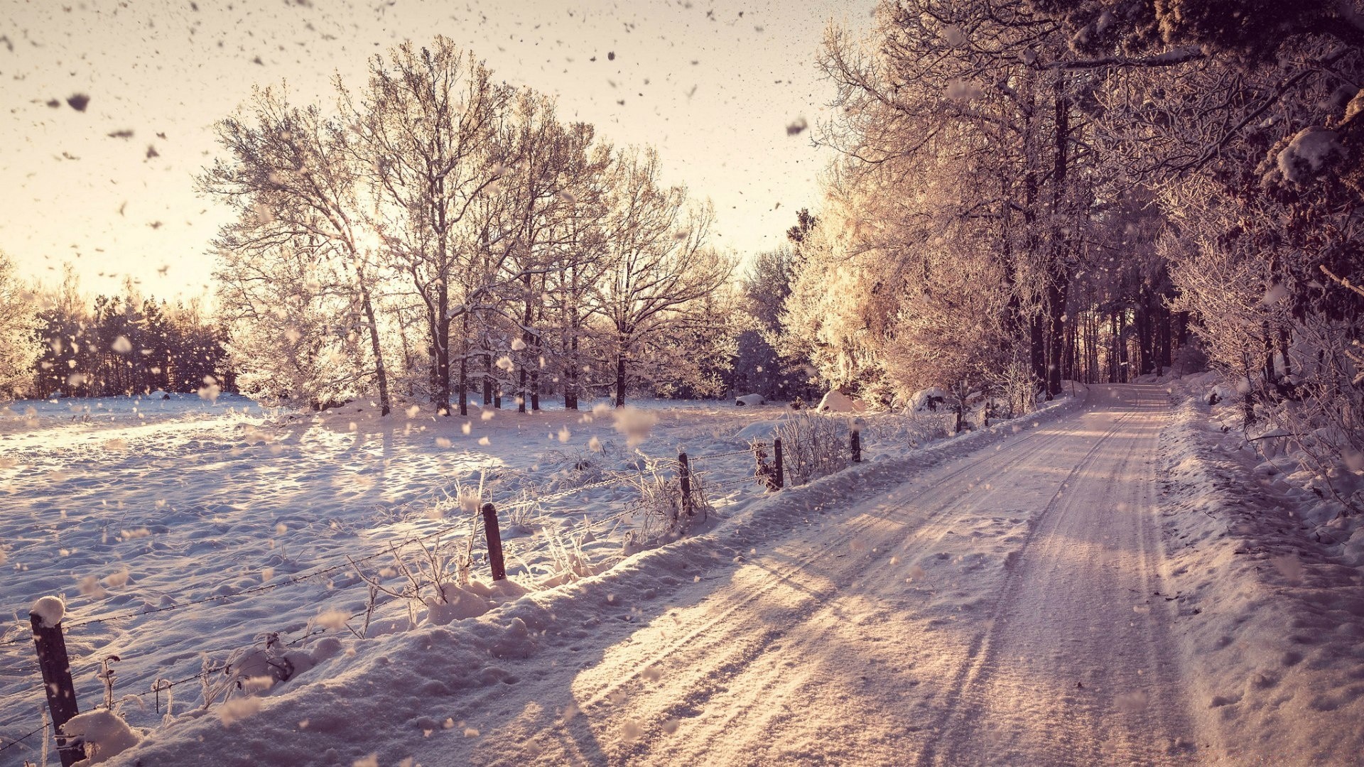 winter snow tree landscape wood frost frozen nature season cold road ice park guidance weather outdoors scenic fog