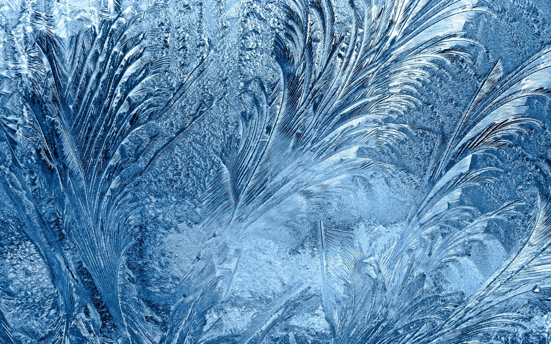 winter frost frostig muster eis natur desktop textur kalt eisig kristall gefroren abstrakt schnee farbe