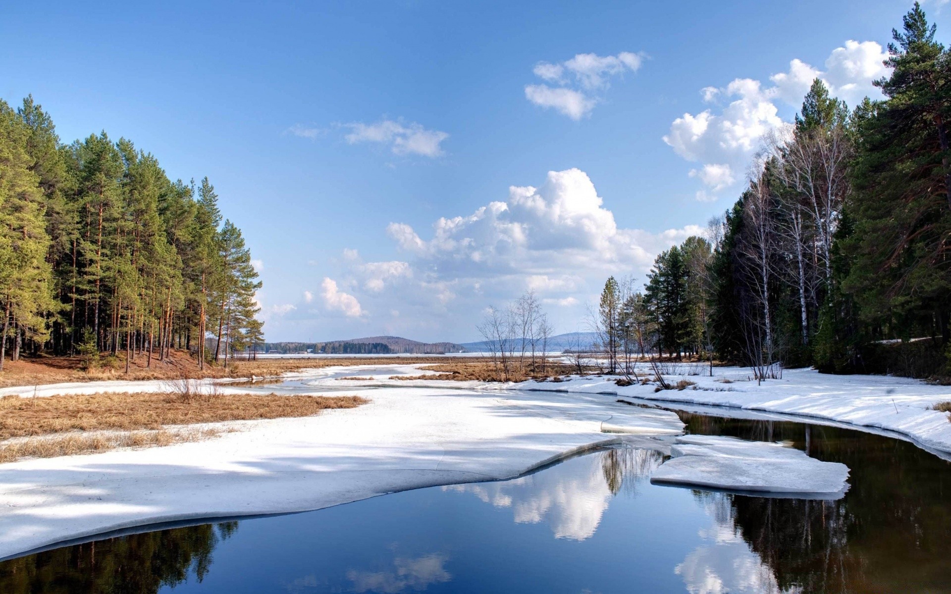 winter water nature tree outdoors landscape sky wood travel lake snow river reflection daylight