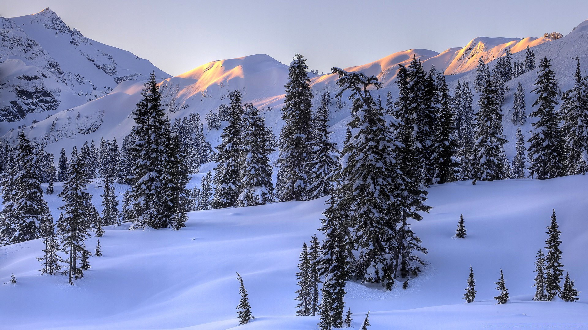 winter snow mountain wood evergreen cold conifer scenic nature landscape outdoors ice mountain peak fair weather