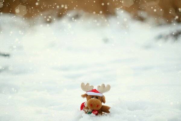 Soft toy moose sitting in the snow