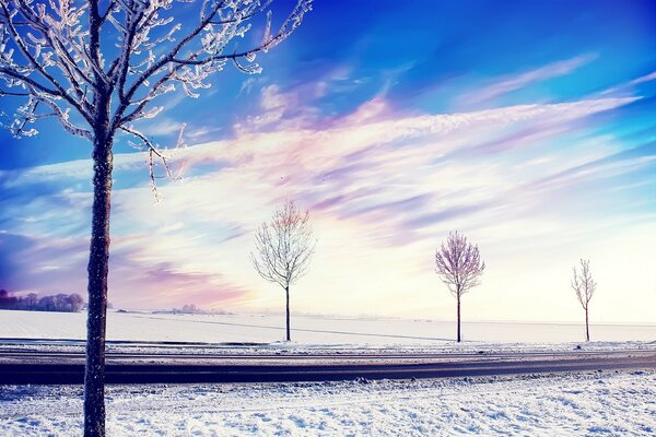 The trees along the road were covered with ice in winter