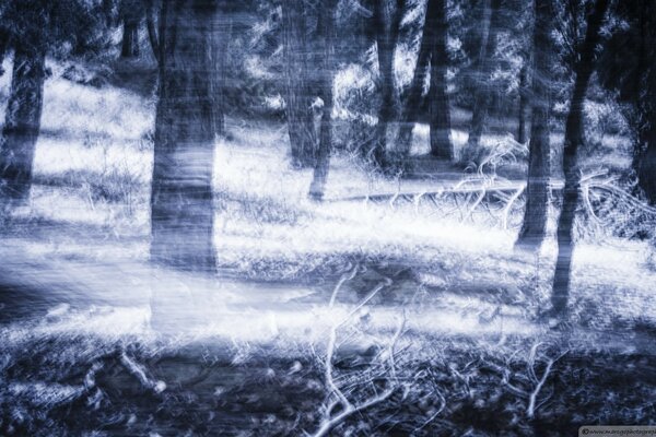 Landschaft Holz im Winter