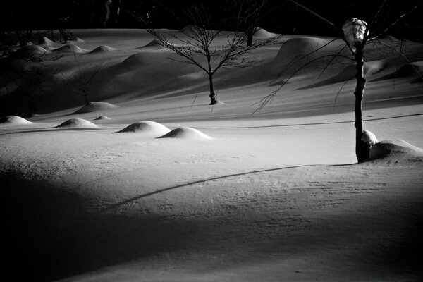 Schwarzer und weißer Winter